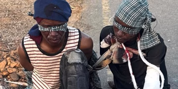 Troops Bust Terror Cell, Rescue Abductees in Sustained North-East Operations