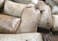 Nigerian Navy Recovers 92,660 Litres of Suspected Illegal AGO in Rivers-Bayelsa Border Operation