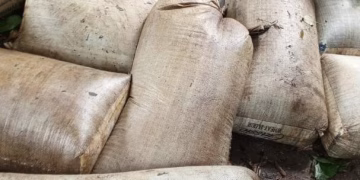Nigerian Navy Recovers 92,660 Litres of Suspected Illegal AGO in Rivers-Bayelsa Border Operation