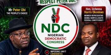 The Betrayal of a Movement: How Political Interests Undermined Peter Obi’s Stronghold -By Tunde Simon