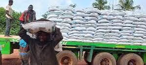 Early Orders, Cheaper Fertiliser: How The Federal Government Shielded Nigerian Farmers From A Global Crisis