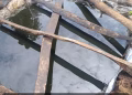 Navy Foils Major Oil Theft Operation in Delta, Seizes 17,000 Litres of Crude