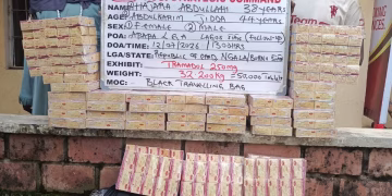 NDLEA intercepts Kano-bound tramadol shipments in Lagos, arrests 80-year-old grandpa