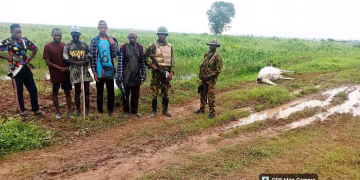 Farm Invasion: Troops Arrest Suspected Herders, Secure Cattle in Benue