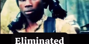 OPHK Confirms Death of ISWAP Propaganda Chief, Media Team in Borno Operation